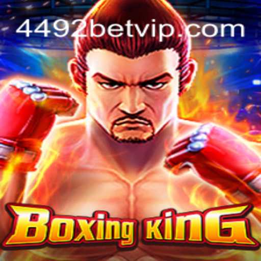 BoxingKing: Um Mergulho no Universo dos Lutadores